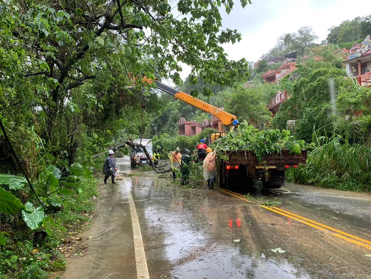 康芮颱風帶來驚人風雨，導致七堵實踐路上發生路樹倒塌。葉先鵬攝