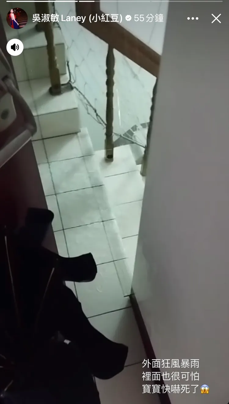 吳淑敏住家公共空間的樓梯宛如瀑布。翻攝吳淑敏臉書限動