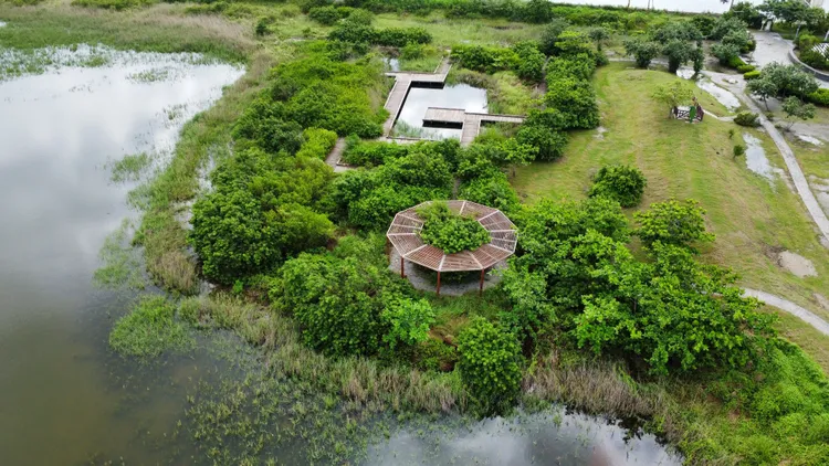 茄萣濕地賞鳥季到。陸岡寧提供