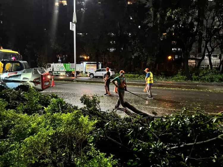 高雄市區到處可見被強風吹倒的路樹。翻攝陳其邁臉書