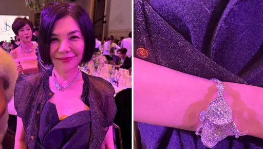 萧敬腾宾客图集|张清芳Cartier项链+Cindy Chao手镯最贵气!杨谨华中空装最清凉