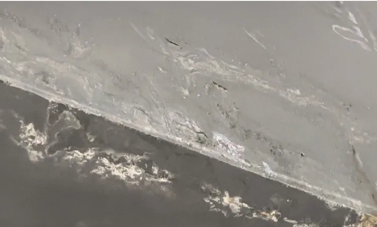 大巨蛋場館內出現大面積壁癌。陳怡君提供