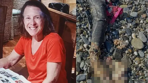 密西根退休母親夢幻潛水行成悲劇 遺體驚現鯊魚腹中