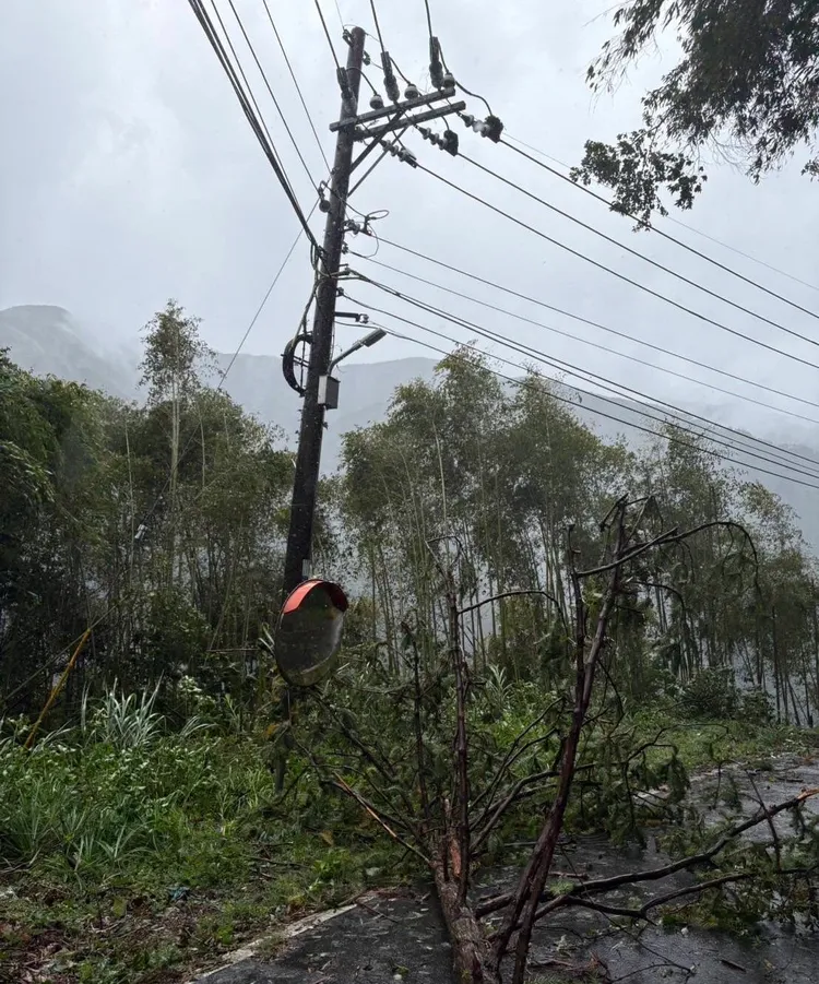 竹縣山區多起路樹倒塌壓損電線導致停電。新竹區處提供