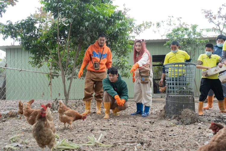 董仔（右起）、八弟與Leo王到彰化庇護農場，體驗一日農場工作。公視台語台提供