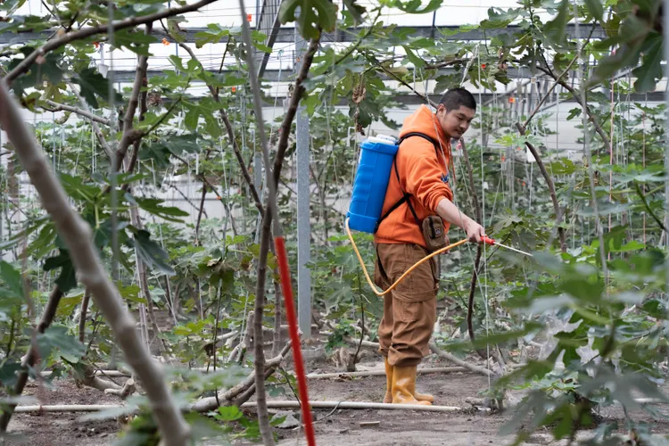 Leo王首次錄實境節目。公視台語台提供