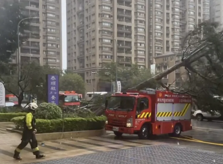 消防車出勤恰好被樹林區路樹倒塌的路樹壓中。翻攝畫面