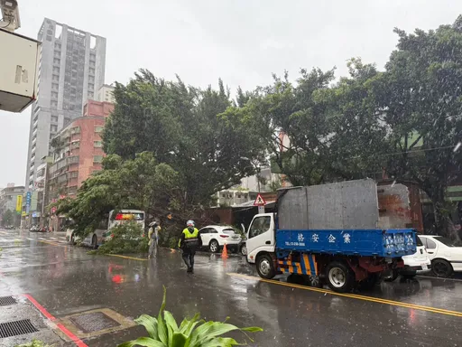 新北颱風災情不斷!路樹倒塌砸中消防車、公車 23樓住戶窗戶快掉了急求救