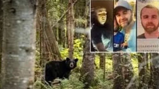 謀殺登山客偽裝成遇熊襲擊! 田納西逃犯驚天詭計曝光