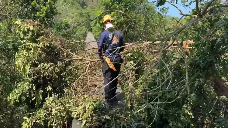 林姓老翁失聯，搜救隊與山友協尋中。翻攝畫面