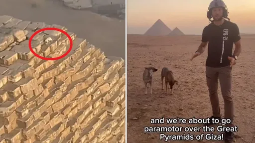 滑翔傘玩家驚見金字塔塔頂出現狗狗　網友：牠有尿尿宣示主權嗎