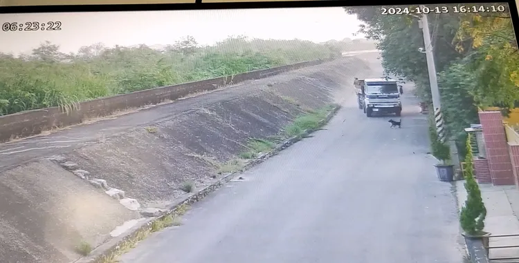 砂石車偏移車道衝撞狗兒。翻攝畫面