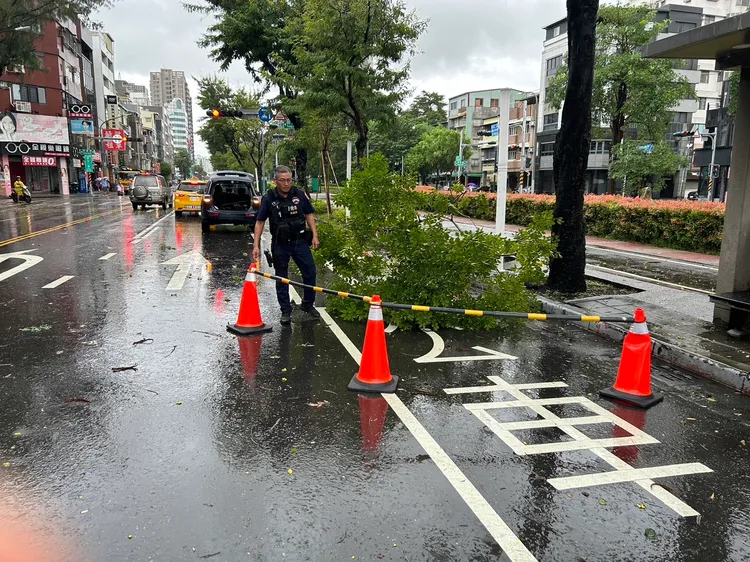 路樹傾倒，警方及時巡邏發現，立即排除。翻攝畫面