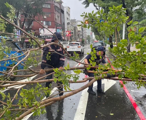 虛驚一場!路樹不堪風雨傾倒 波麗士大人就巡邏到場排除