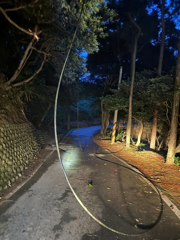山陀兒颱風來襲，新竹下午4時因樹木倒塌壓斷照門幹#193~#194高壓纜線，導致饋線跳脫停電。台電提供