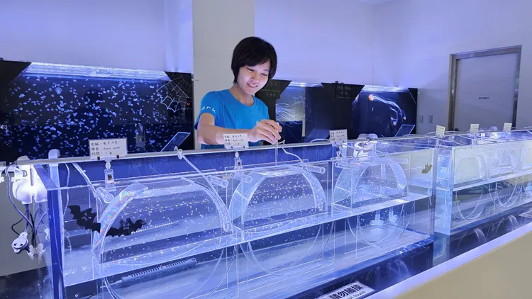 Xpark 飼育員們透露生物寶寶們的成長小故事。業者提供