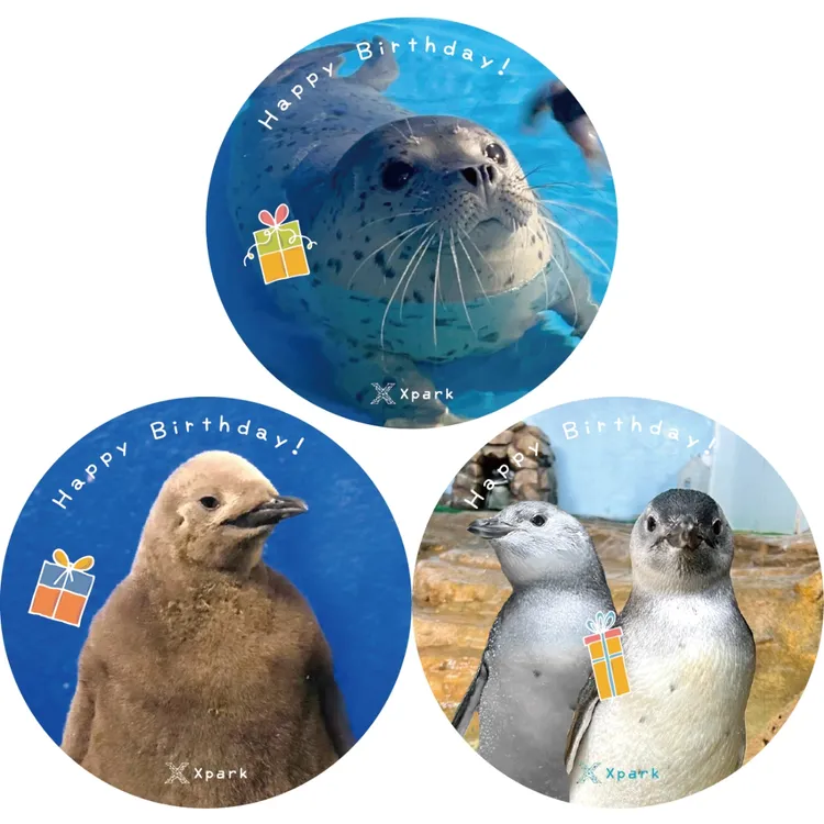 Xpark 特製壽星特典寶寶貼紙三款。業者提供