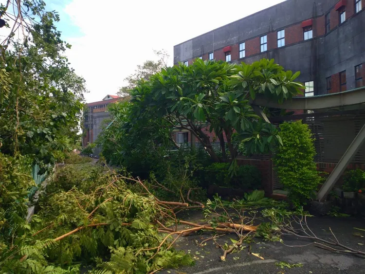 文藻外語大學校園內風災過後情形。翻攝自文藻外語大學臉書