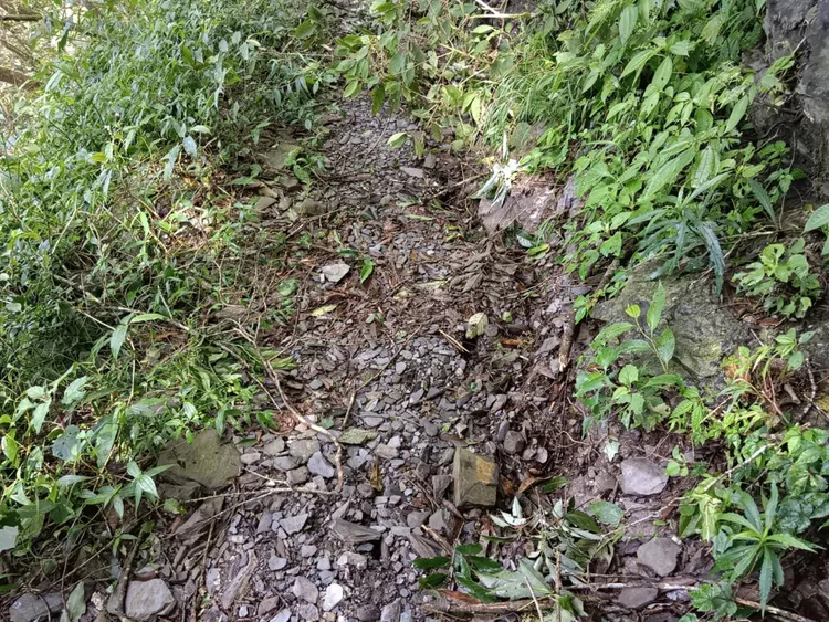 北大武山步道約2k近山壁處出現大裂縫，有地滑向下跡象。林保署提供