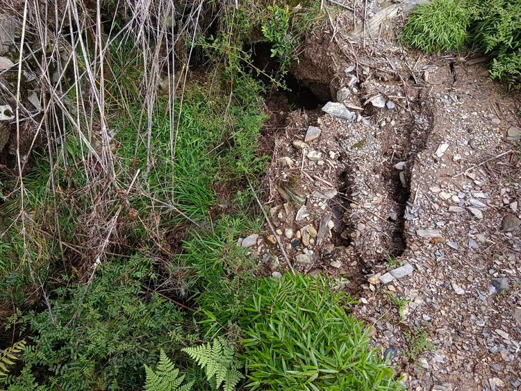 北大武山步道約8.8k下邊坡流失。林保署提供