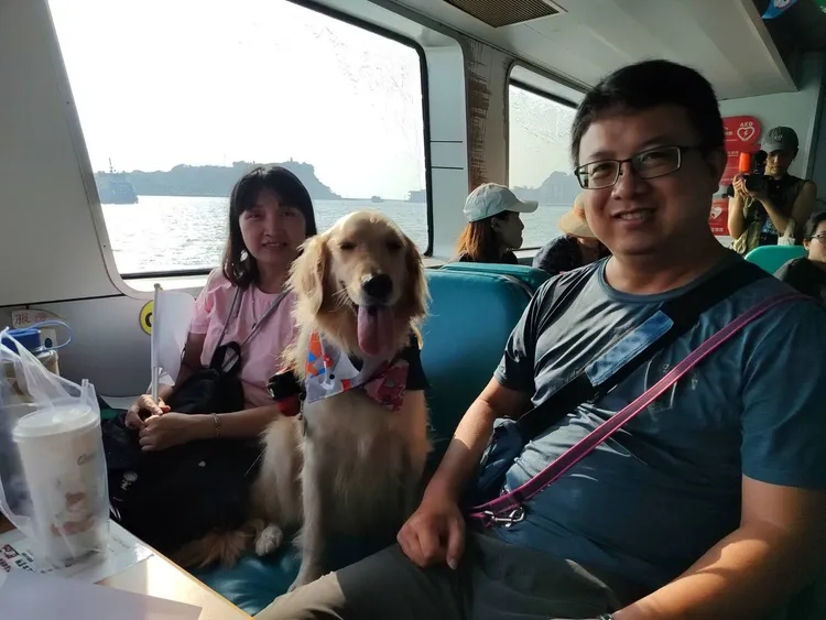 遊程中毛孩們有專屬座位，不須受籠子或袋子束縛，和飼主一起自由自在地享受高雄美麗的港灣風光。農業局提供
