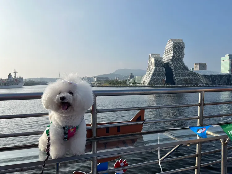 為展現毛孩家庭的熱情與活力，所有參加的選手們均以「運動員」為主題的Dress Code打扮盛裝出席。農業局提供