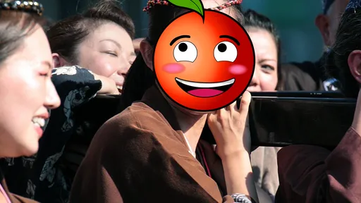 美女刺客出馬!前偶像再戰政壇 2度參選日本眾議員