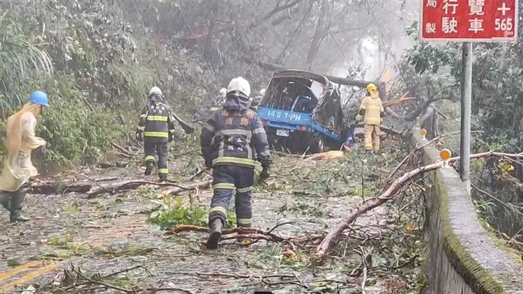 南投縣合歡山公路小貨車被倒塌的樹木擊中，造成1人命危1人輕傷。民眾提供