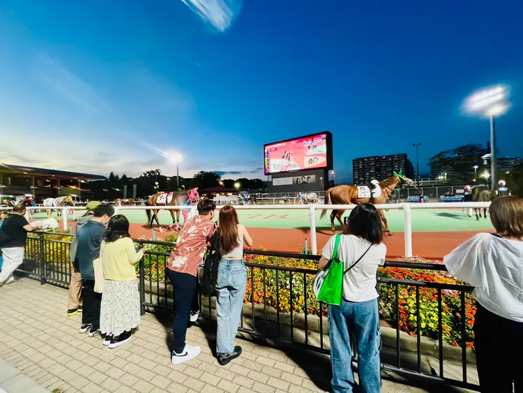 每場賽事前，出場馬匹會在圍場繞場供民眾在下注前看看馬匹今天的狀態。李彥初攝