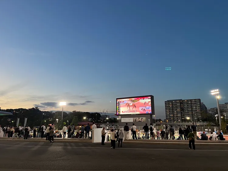 圍場大螢幕秀出馬匹及騎師的詳細資料、最近戰績以及賠率供賭客參考。李彥初攝