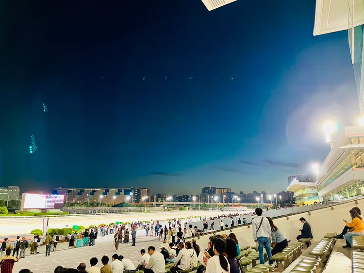 每到賽事的夜晚，總是坐滿前來尋求賽馬刺激的民眾。李彥初攝