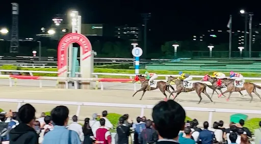 【東京直擊】玩點不一樣!體驗大井競馬場的速度與激情 《壹蘋》帶你第一次賭馬就上手