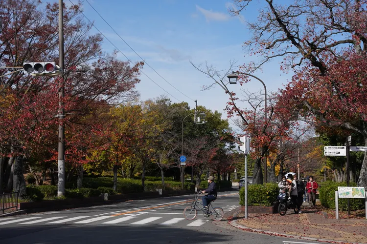 從JR「百舌鳥站」出站後沿途都有指標可輕鬆抵達。S.H.攝