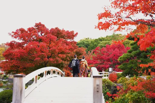 大阪隱藏版紅葉祕境 避開人潮好好拍美照