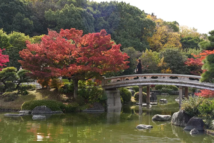 錯落於園內的紅葉搭配上小橋流水等造景，相當有氣氛。S.H.攝