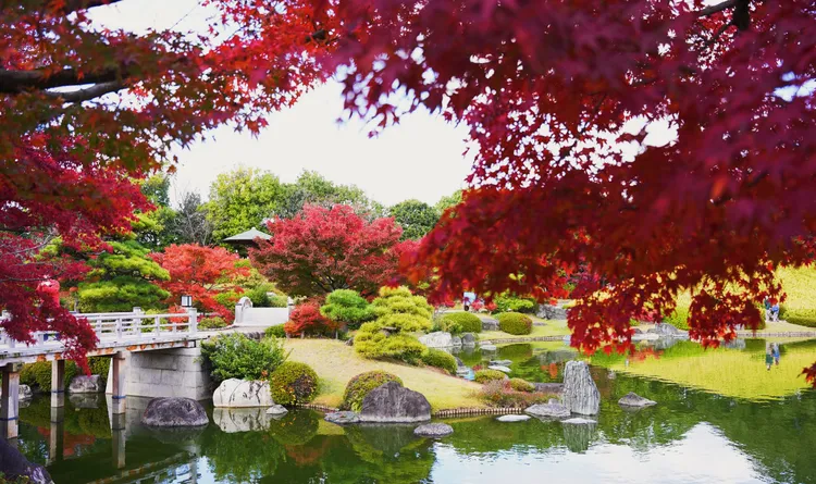 日本庭園面積不大，但十分清幽。S.H.攝