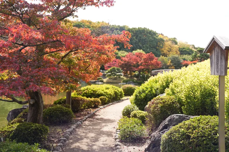 在這裡欣賞紅葉不用人擠人，怎麼拍都好看。S.H.攝