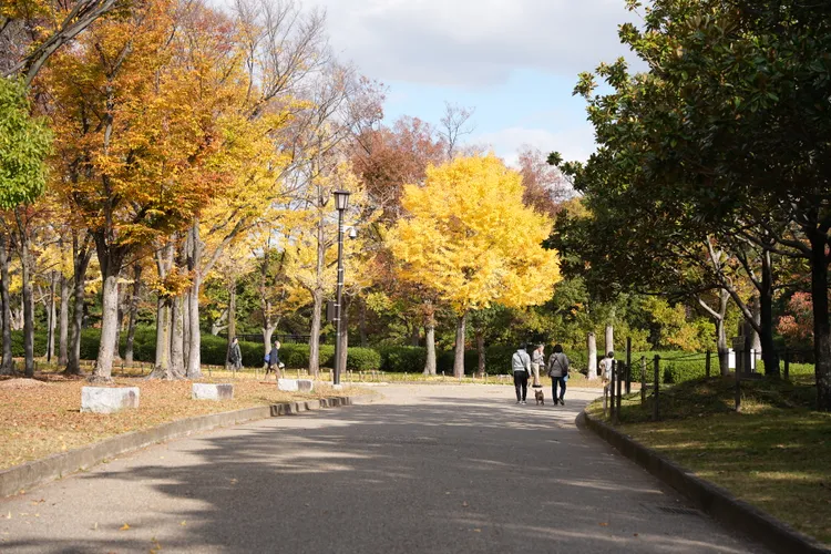 大仙公園也是當地人散步休閒的去處。S.H.攝
