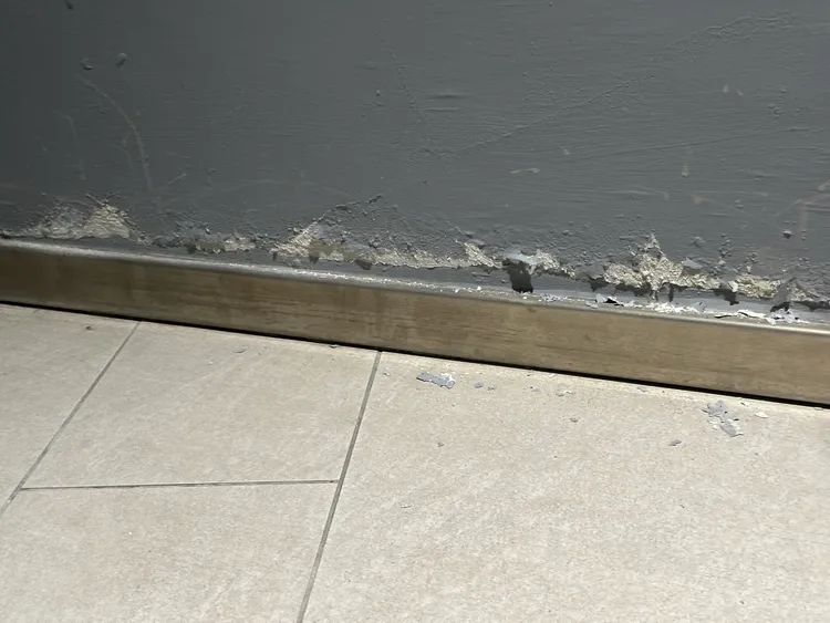 陳怡君指出台北大巨蛋場館內出現壁癌問題。陳怡君提供