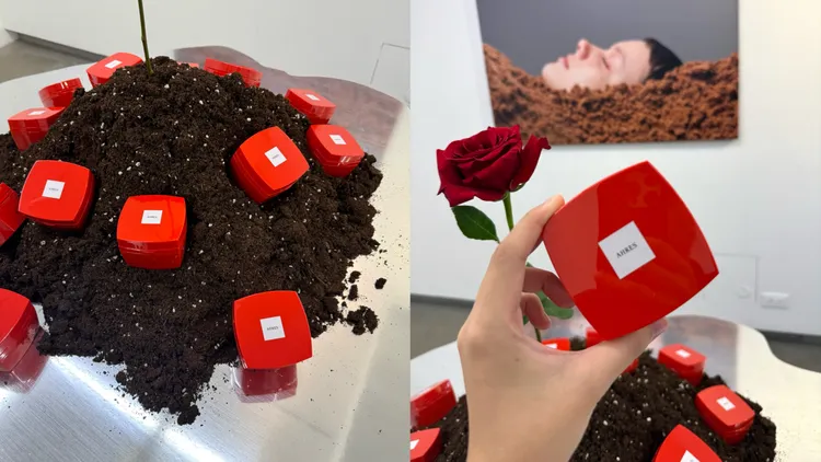 梅炭淨膚卸妝膏，90g／1100元。張家玲攝