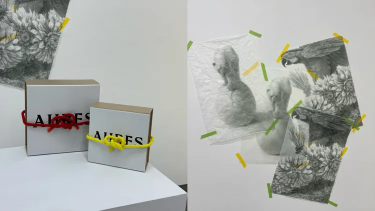 品牌的包裝盒、襯紙都有設計巧思。張家玲攝