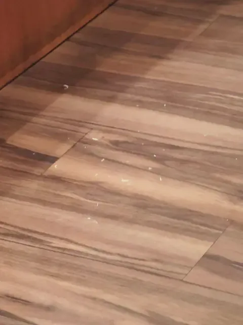 指甲屑留滿地。翻攝Dcard畫面