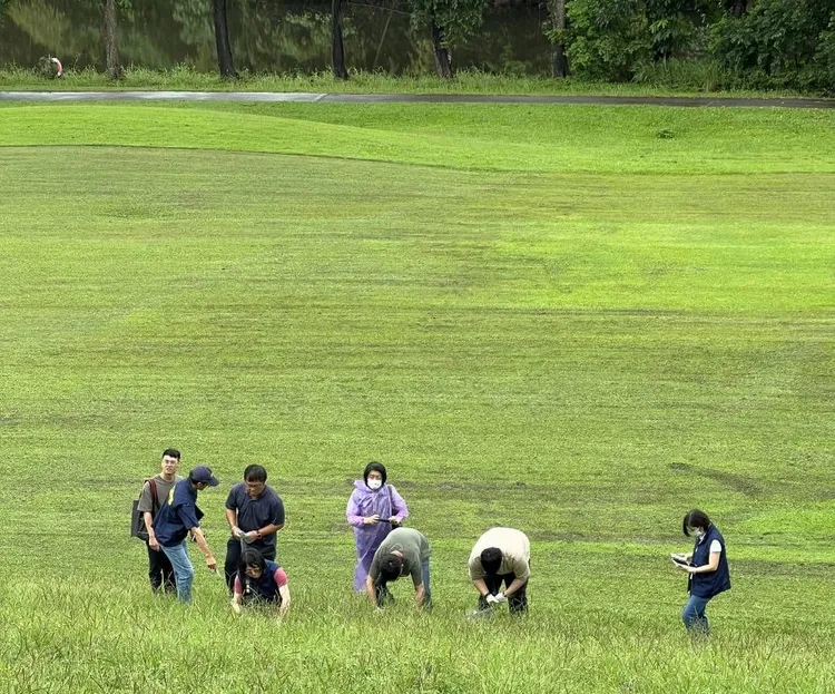 球場維護草皮竟使用禁藥陶斯松，水池滯洪能力差，也導致下游積淹水。高市府提供