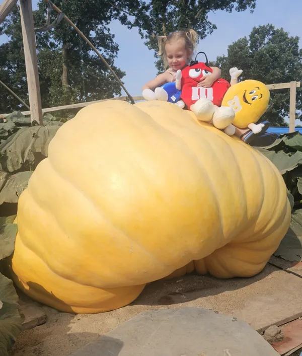 「小魯迪」長大了，金傑定期紀錄女兒莉莉與南瓜魯迪的成長。翻攝Instagram/Travis Gienger