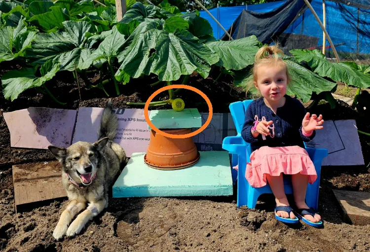 金傑最愛的女兒莉莉與最疼的「小魯迪」。翻攝Instagram/Travis Gienger