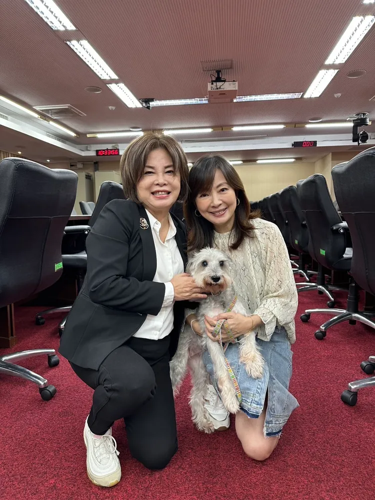 民進黨立委郭昱晴投身動保議題超過三十年，家中更有三貓一狗。郭昱晴辦公室提供