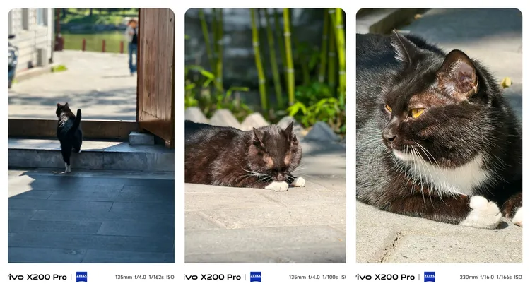 長焦微距對於拍攝動物來說，是相當貼心的功能。趙筱文 攝