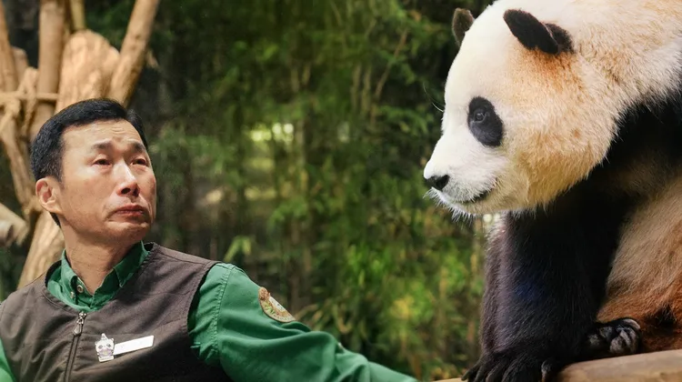 「姜爺爺」與福寶「祖孫」情深。車庫娛樂提供