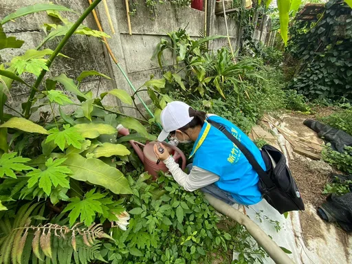 苗栗登革熱案例足跡曾到新竹 守護市民健康!竹市府啟動登革熱防治措施