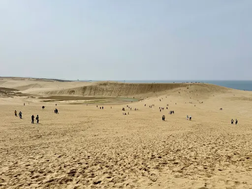 鳳凰旅遊賞楓情　直飛日本鳥取砂丘柯南空港